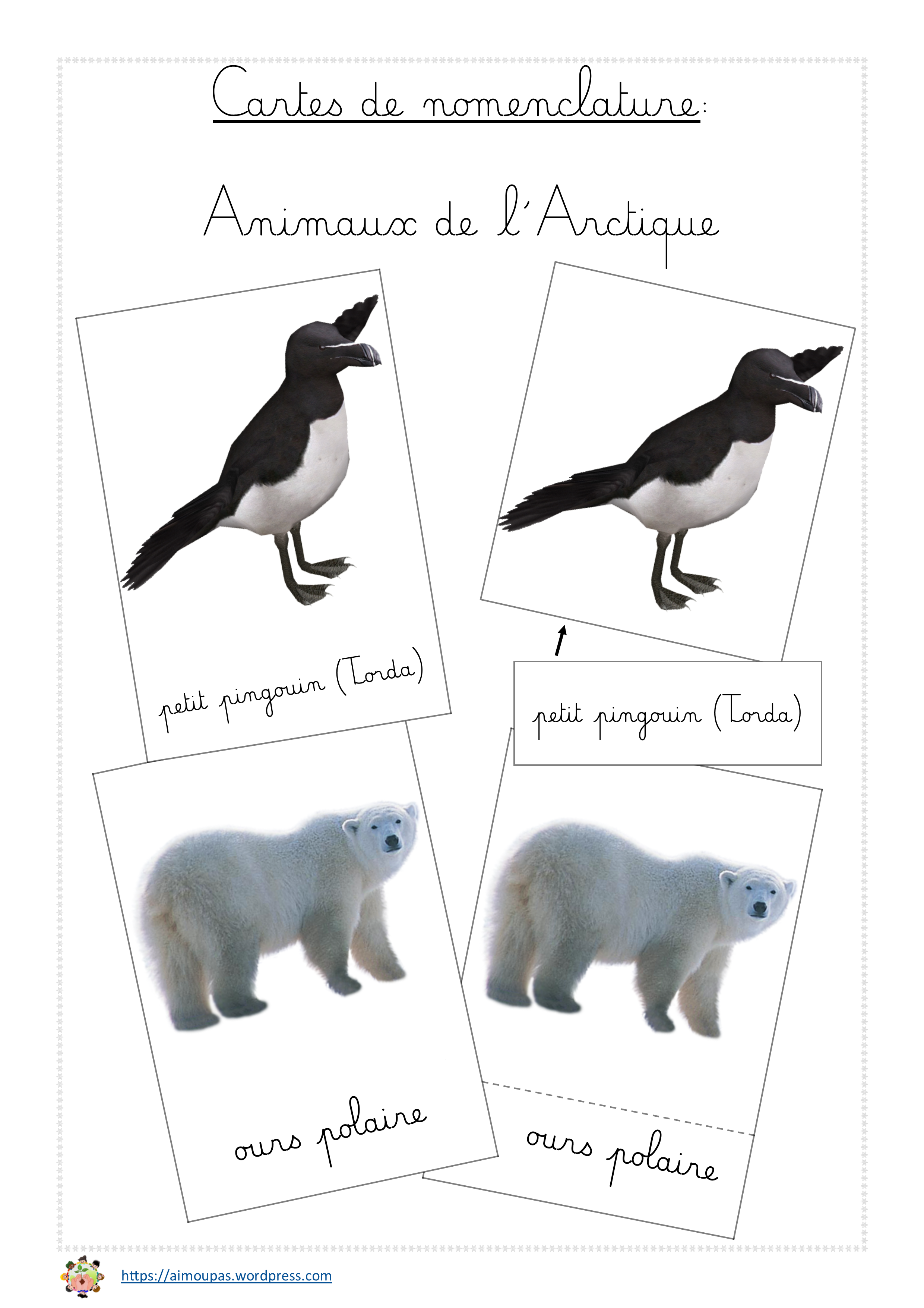 [folder]cartes nomenclature -les animaux de l'arctique [cursif]